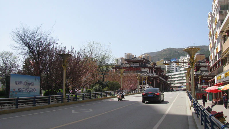 IMG_5455.jpg