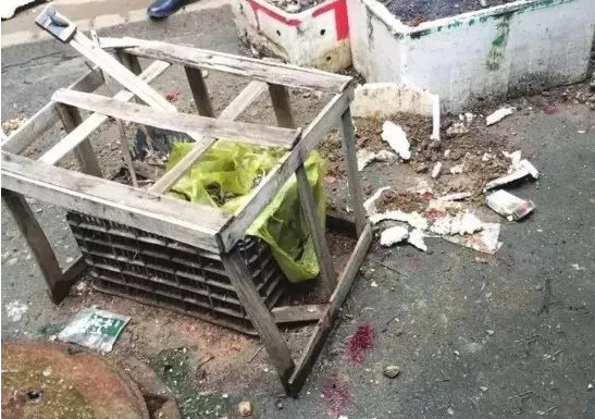 那些生活在父母情绪失控里的孩子,后来都怎么