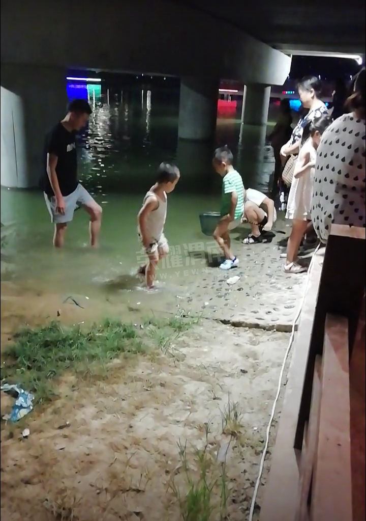 又来孩子来沋河河道玩水