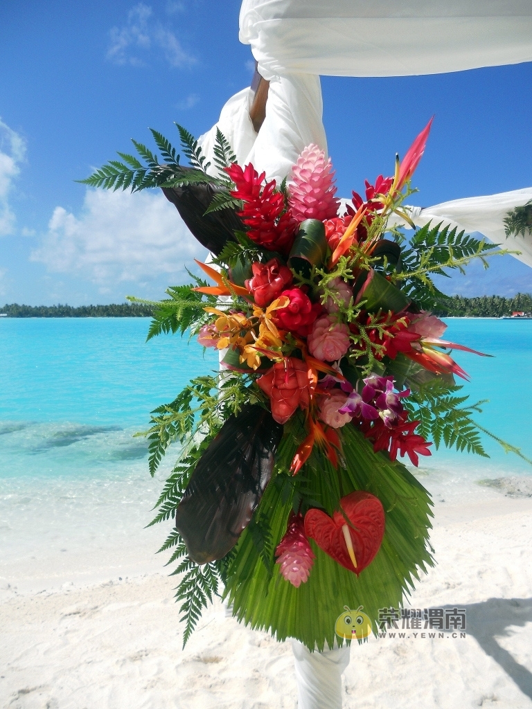 ������ (22).jpg