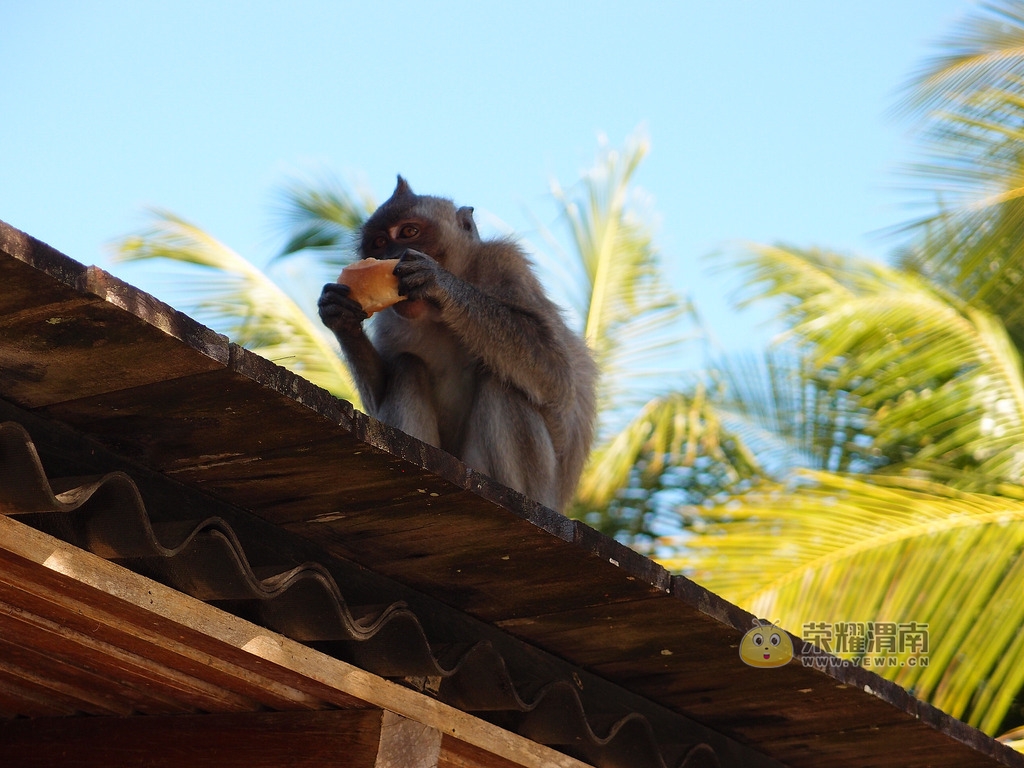 �������ļ� (11).jpg