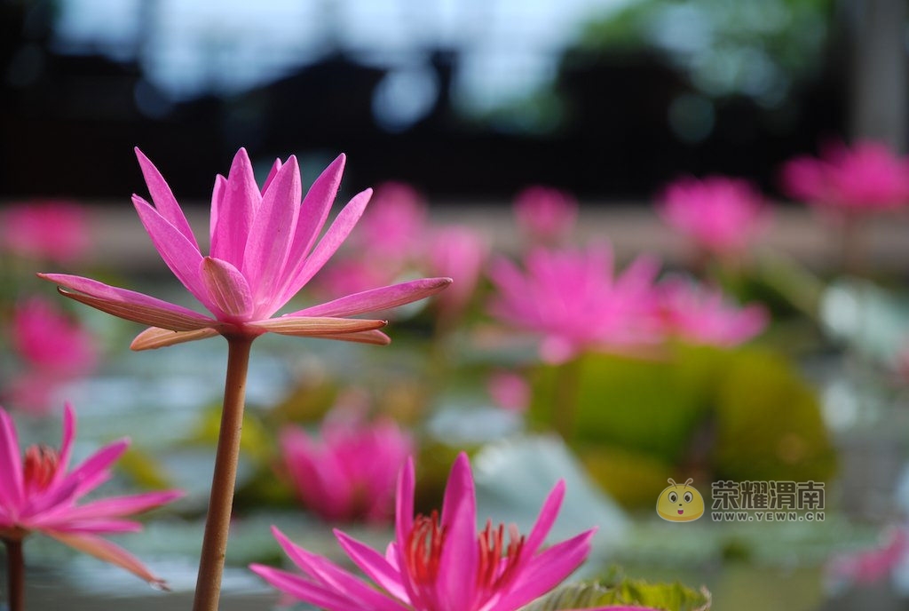 �������ļ� (13).jpg