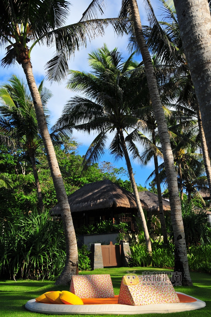 ������� (3).jpg