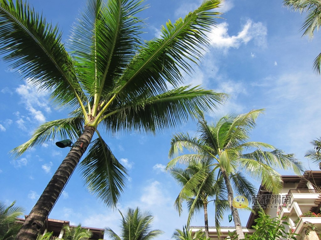 ������� (6).jpg