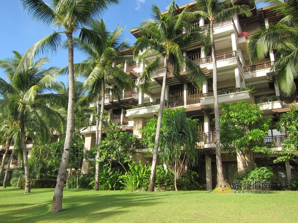 ������� (5).jpg