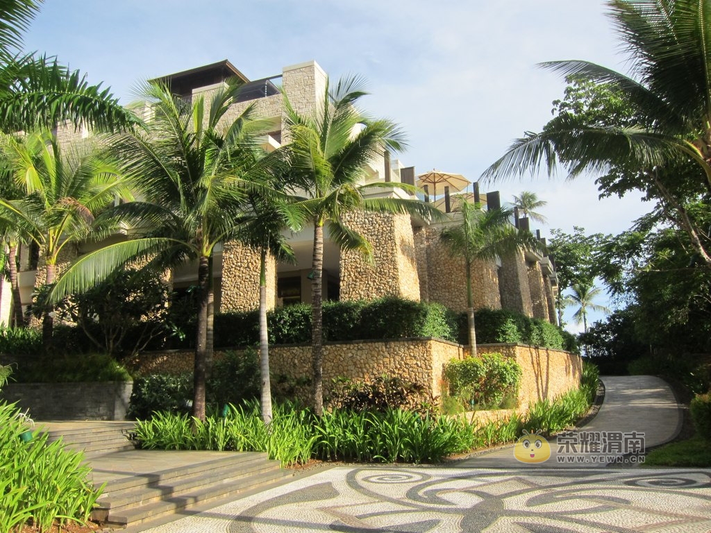 ������� (8).jpg