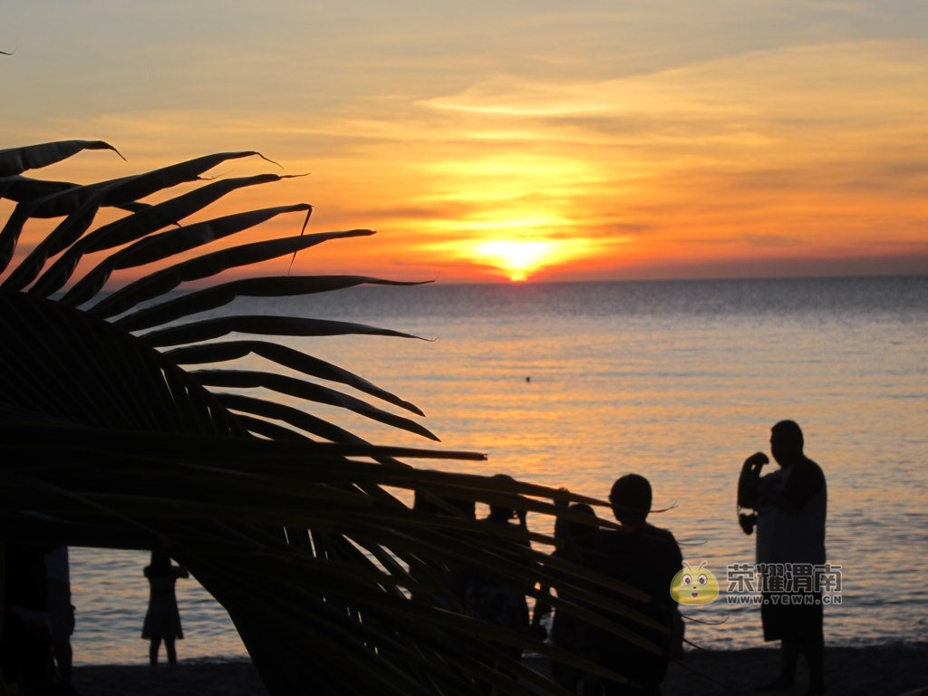 ������� (48).jpg