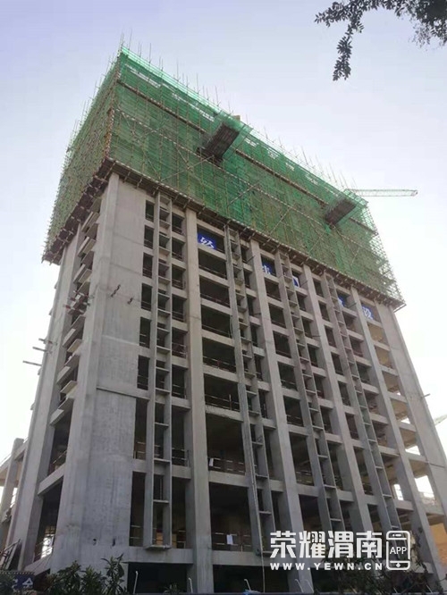 对不起,我不想和穷女孩结婚!你不属于我的择偶