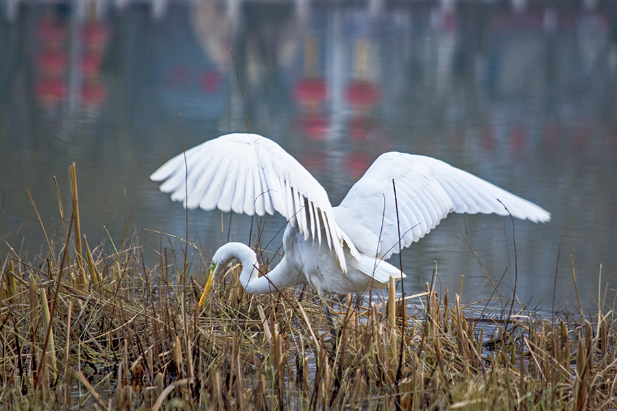 DSC_0138.jpg