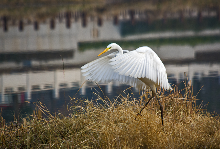 DSC_0076.jpg