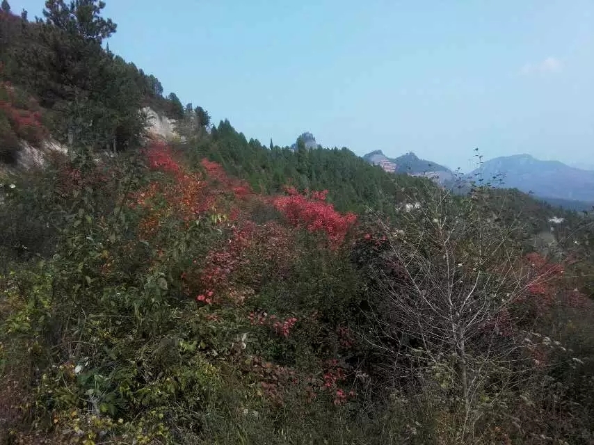 20200109_125287_1578533553840.jpg