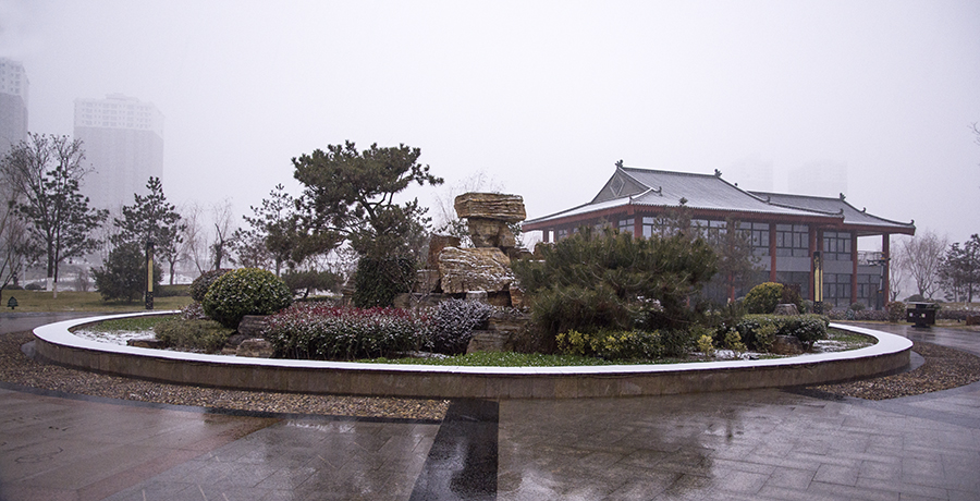 DSC_0277.jpg