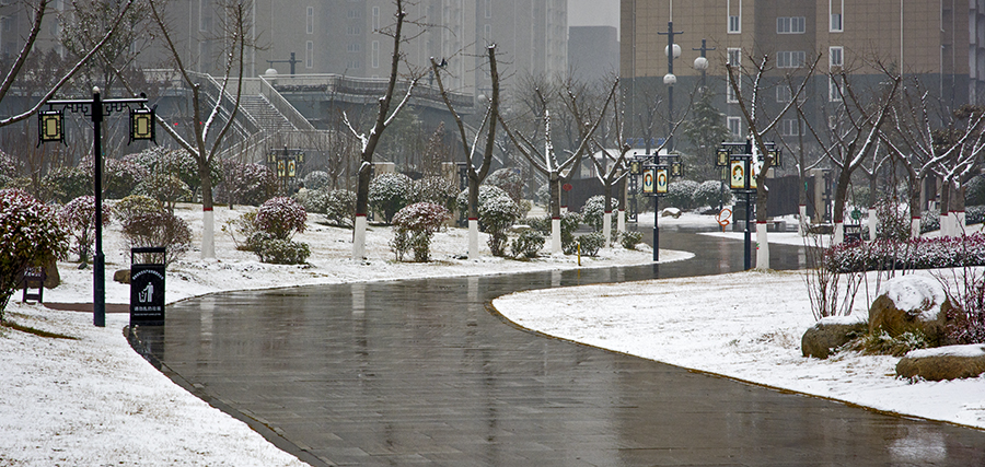 DSC_0308.jpg