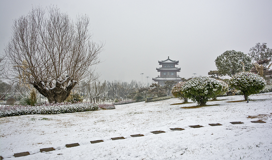 DSC_0320.jpg