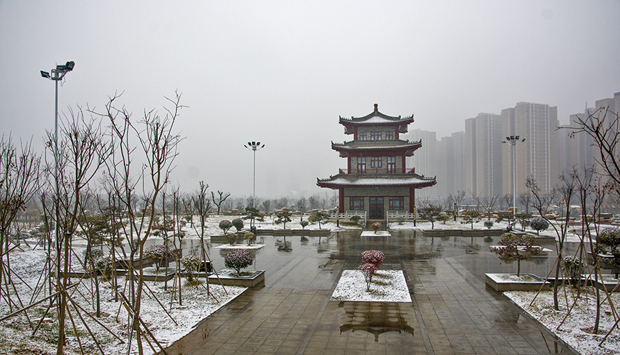 DSC_0329.jpg