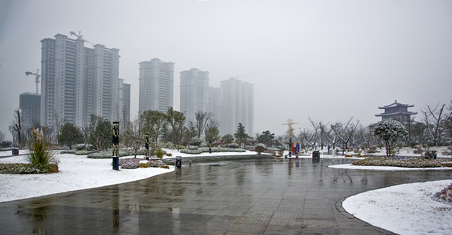 DSC_0346.jpg