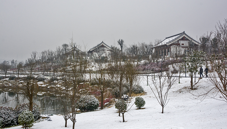 DSC_0405.jpg