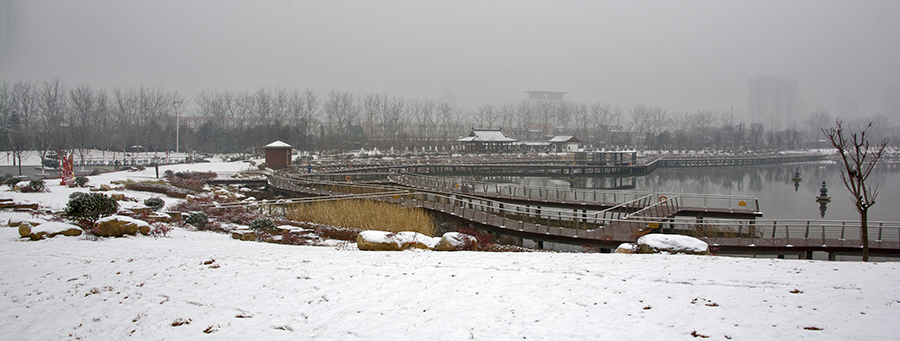 DSC_0418.jpg