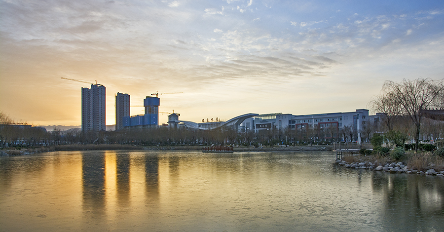 DSC_0487.jpg