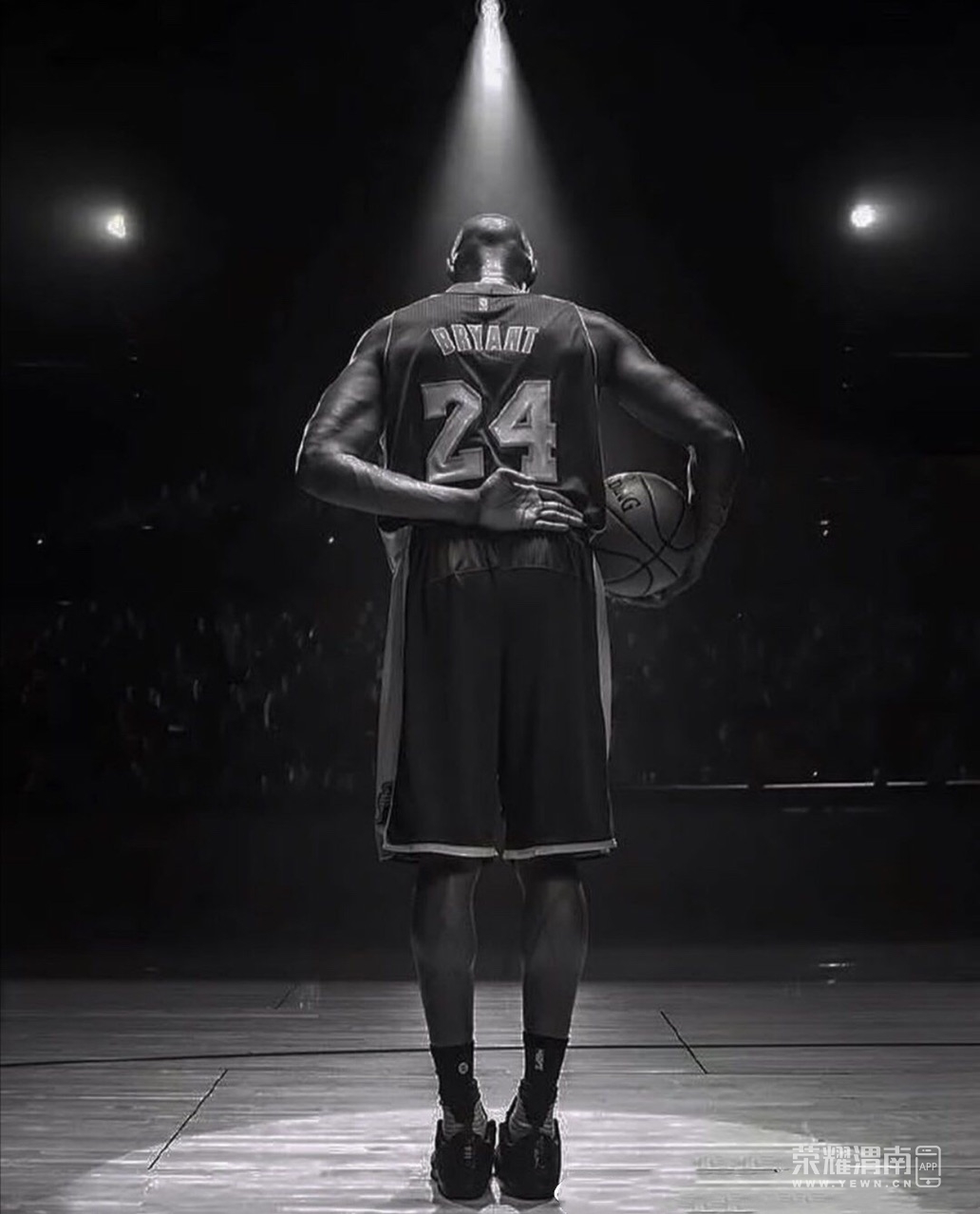 nbaǿƱȡز,41