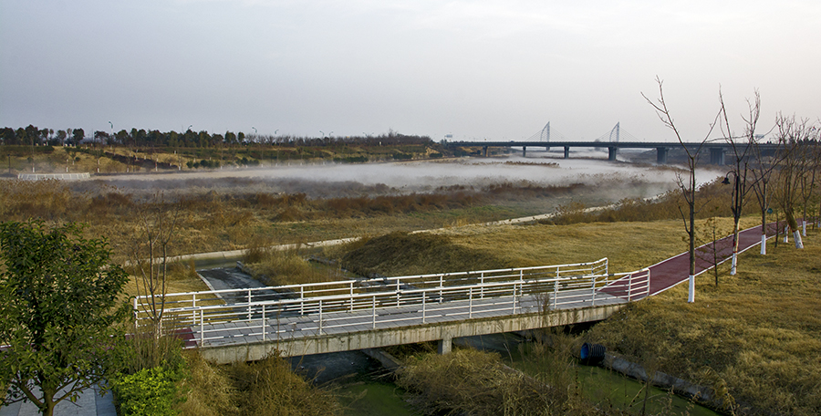 DSC_0684.jpg