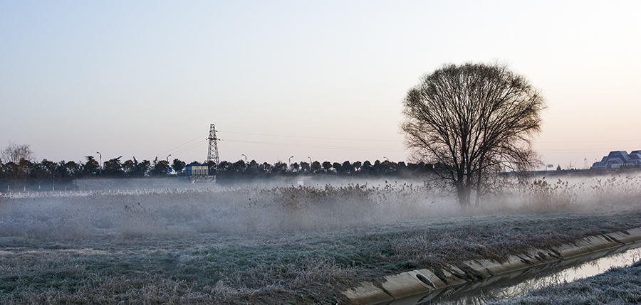 DSC_0687.jpg