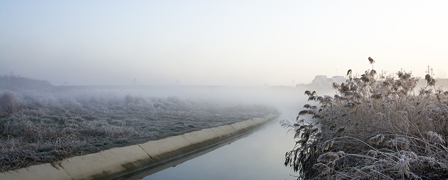 DSC_0697.jpg