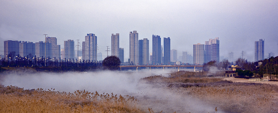 DSC_0715.jpg