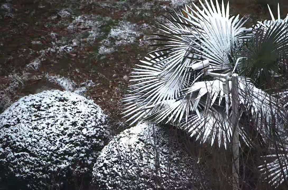 ΢ͼƬ_20200206095918.jpg