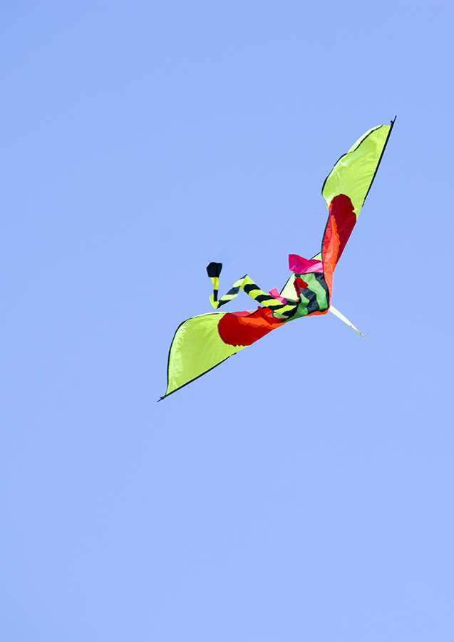 DSC_1157.jpg