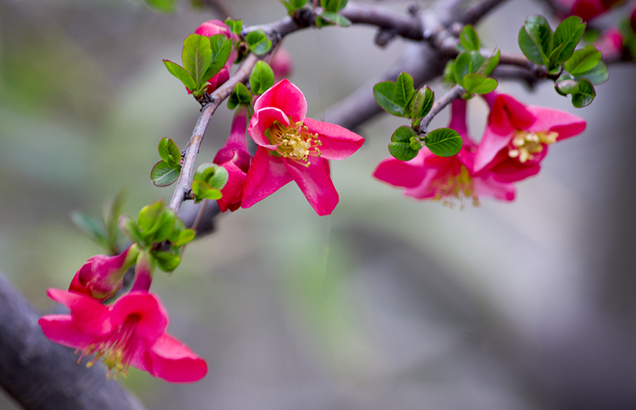 DSC_1238.jpg