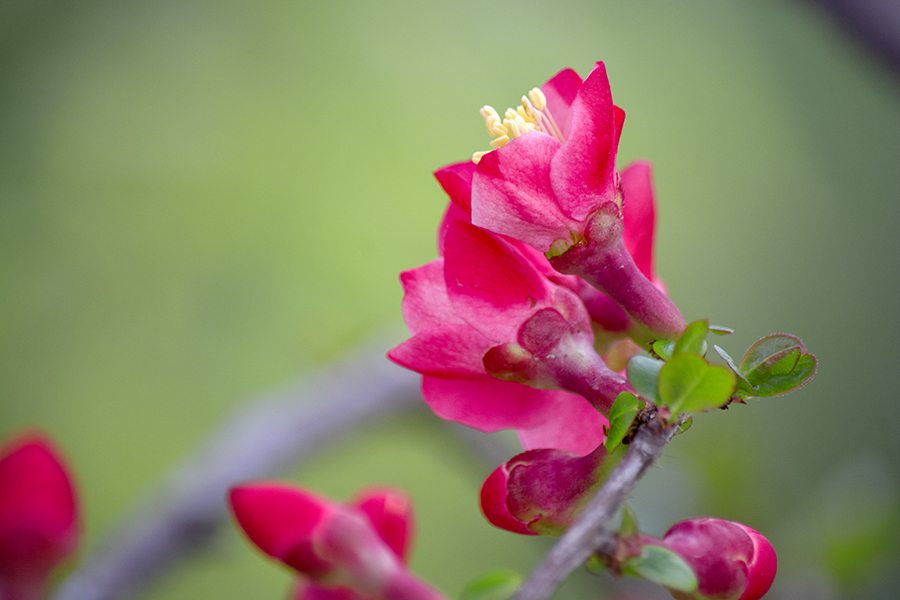 DSC_1235.jpg