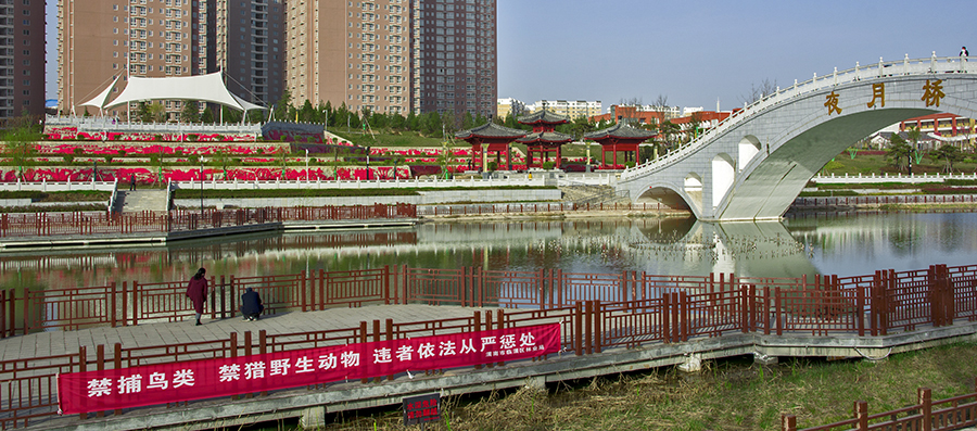 DSC_1536.jpg