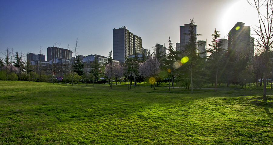 DSC_1856.jpg