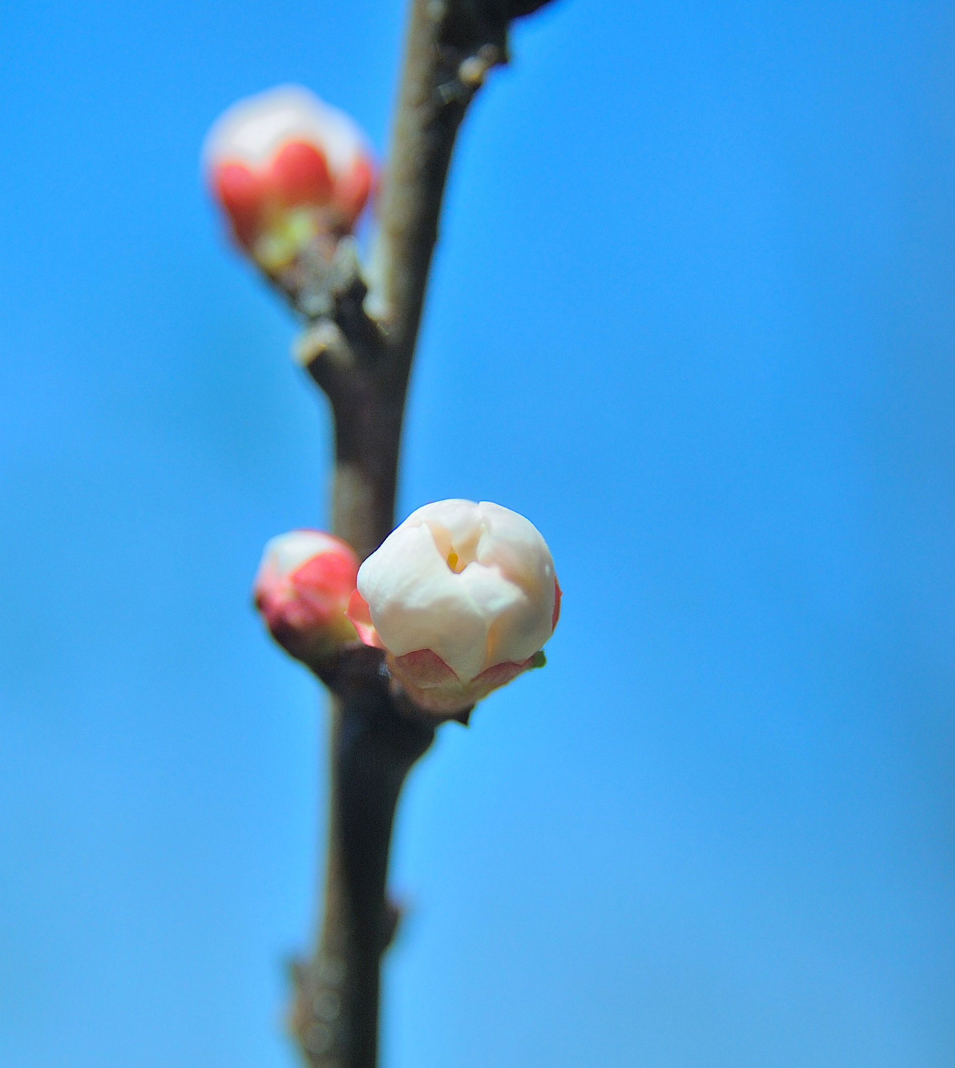 DSC_6071.jpg