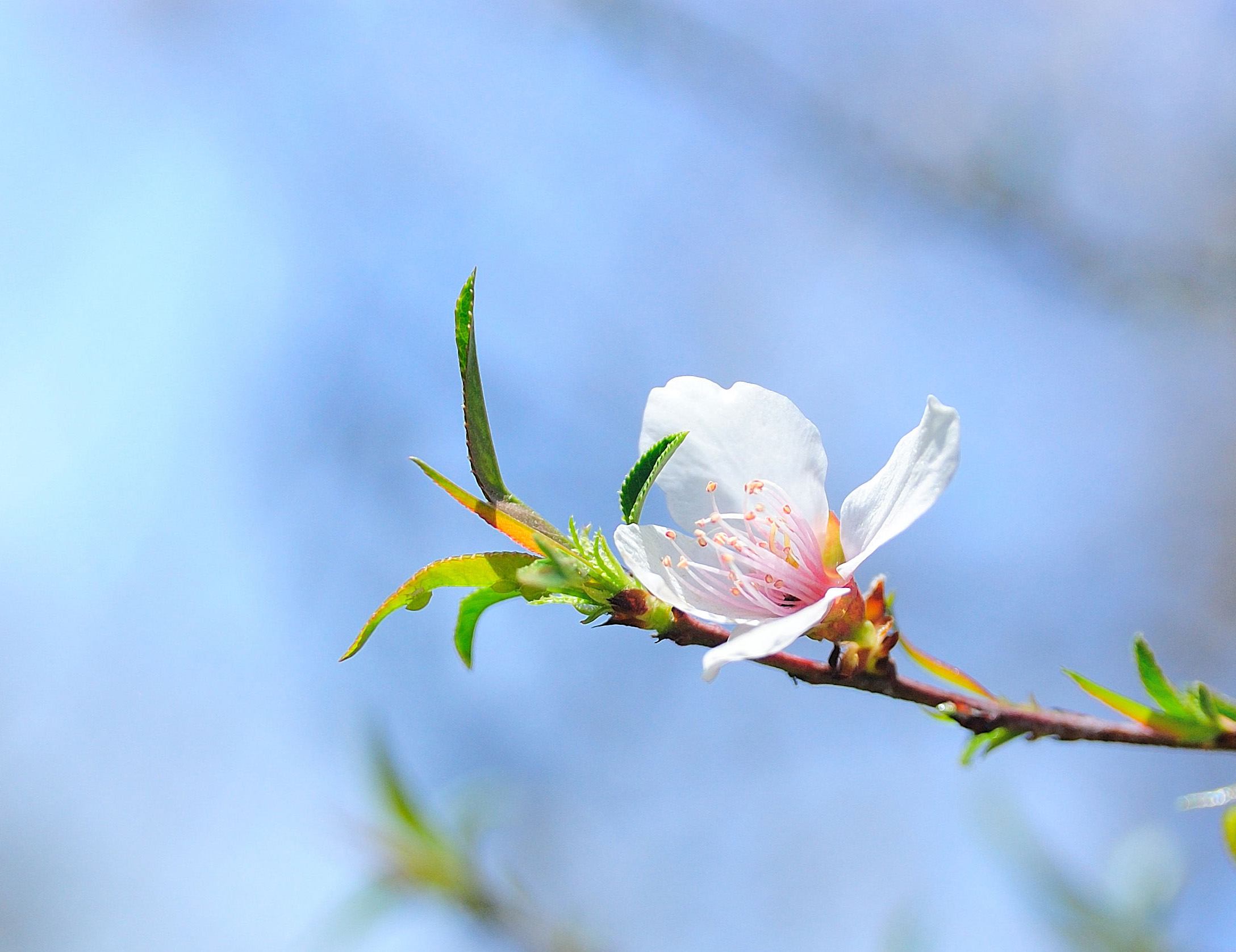 DSC_6073.jpg