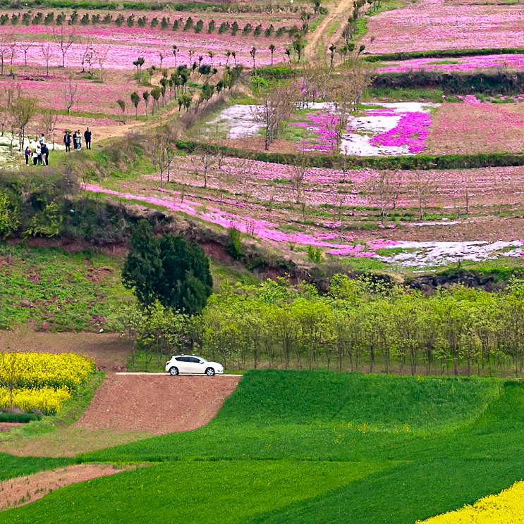 20200406_233519_1586132904600.png