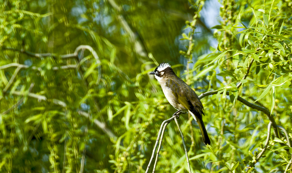 DSC_2786.jpg