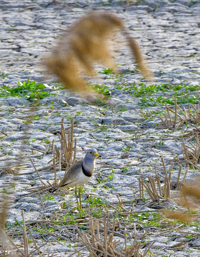 DSC_3028.jpg