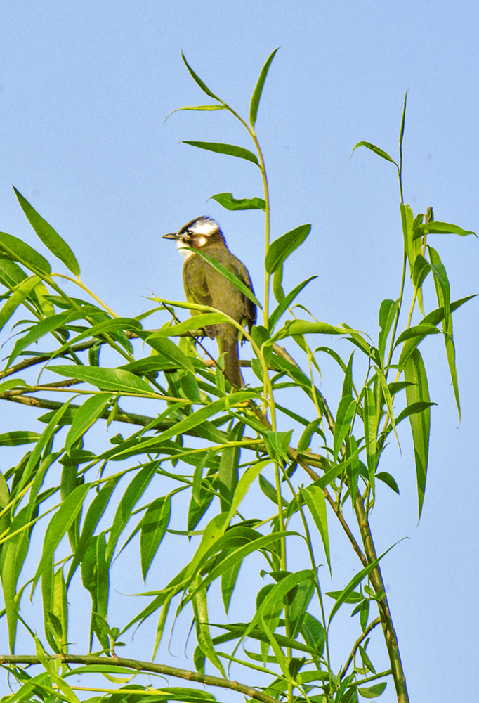 DSC_3050.jpg