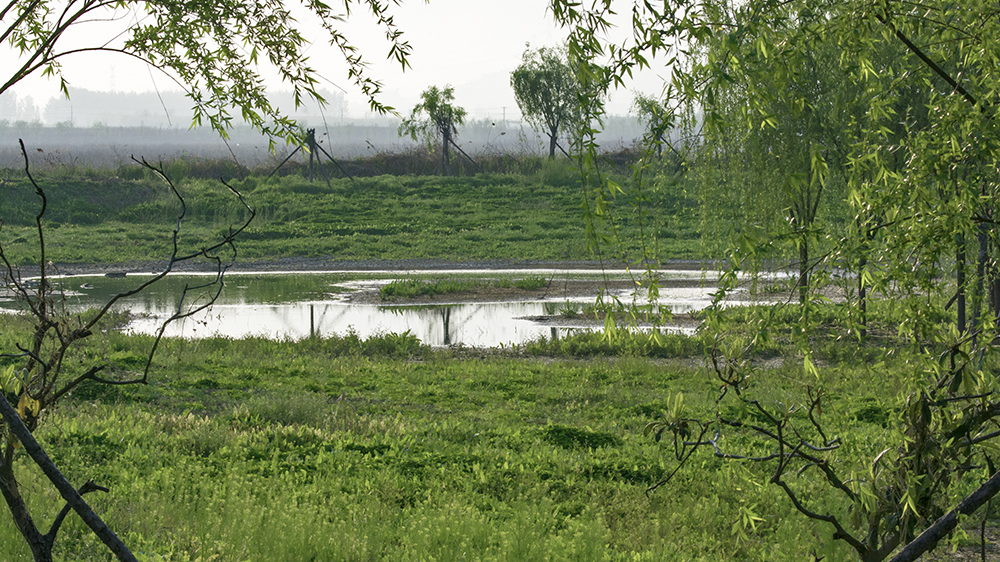 DSC_3041.jpg