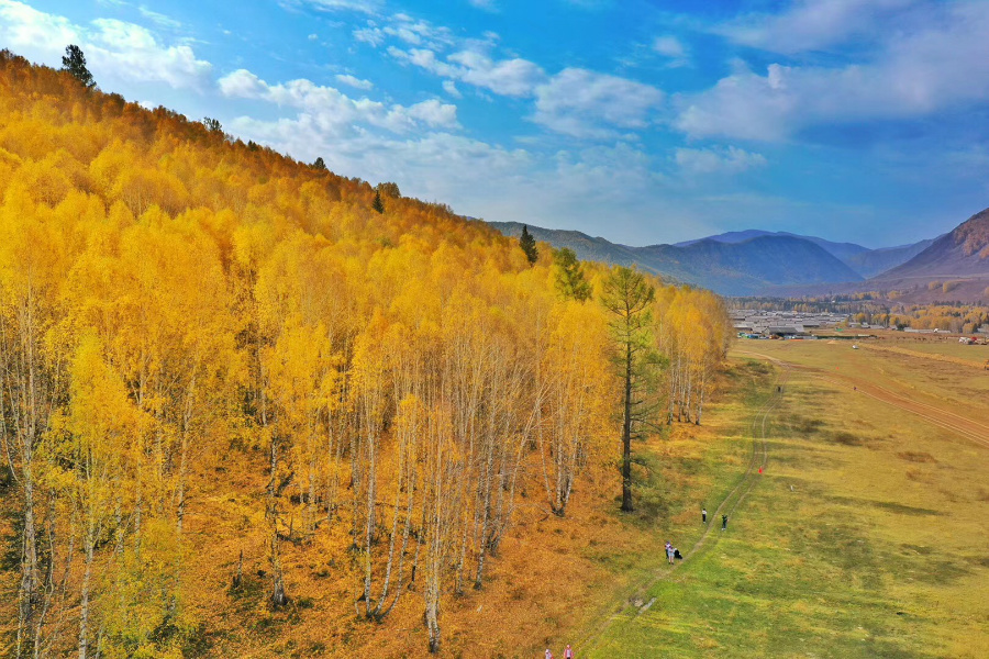 DJI-007.jpg