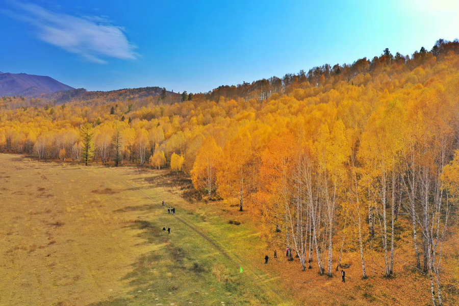 DJI-008.jpg