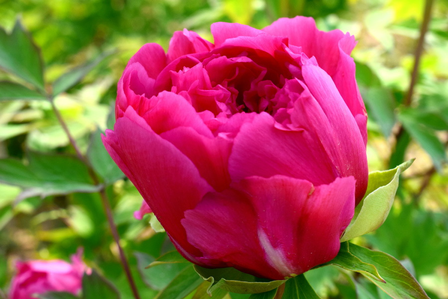 DSC_8139.jpg
