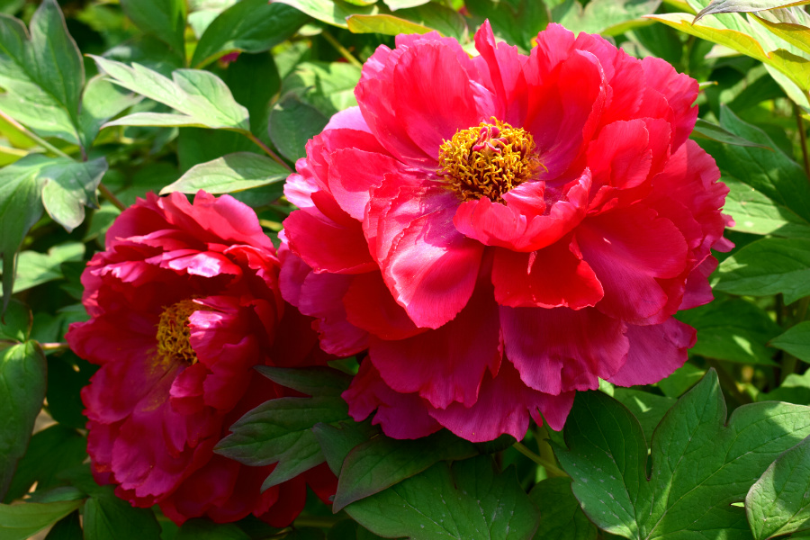 DSC_8149.jpg