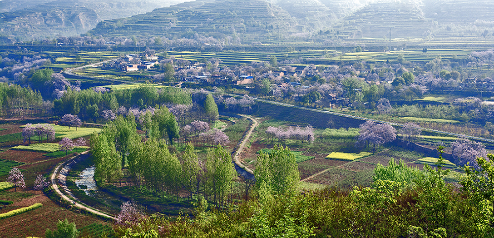 DSC_3334.jpg