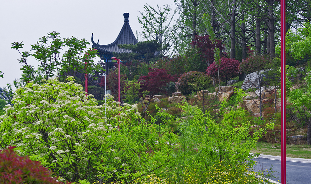 DSC_3390.jpg