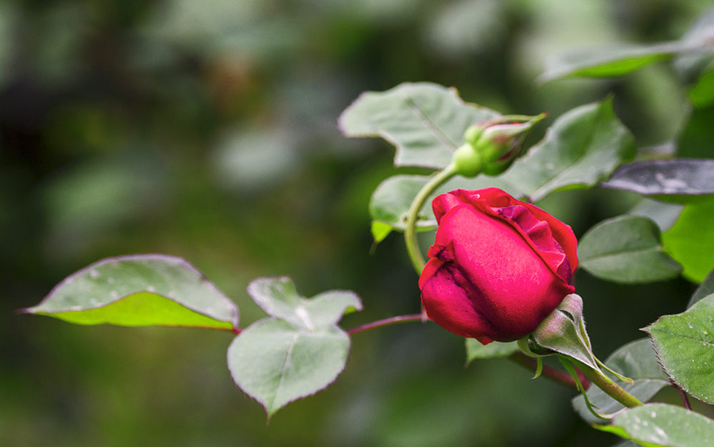 DSC_3414.jpg