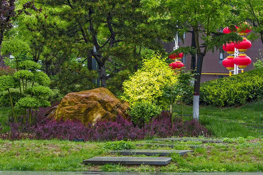 DSC_3793.jpg
