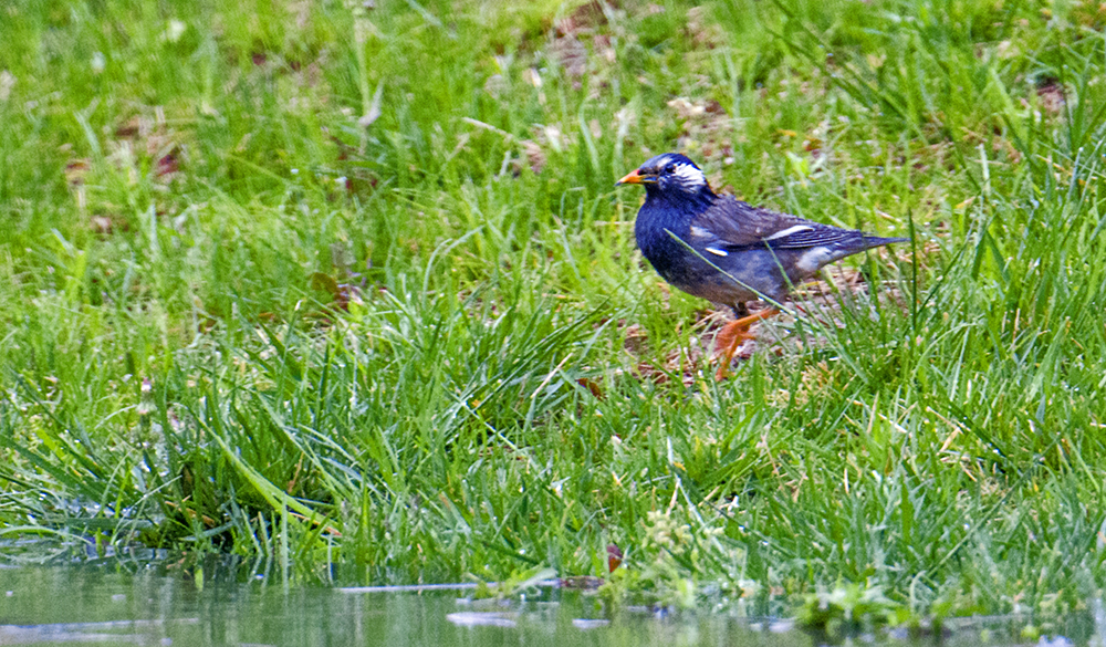 DSC_3666.jpg